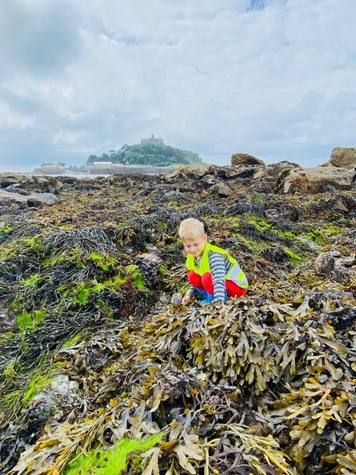 A young boy crouched down in the seaweed near St Michaels Mount